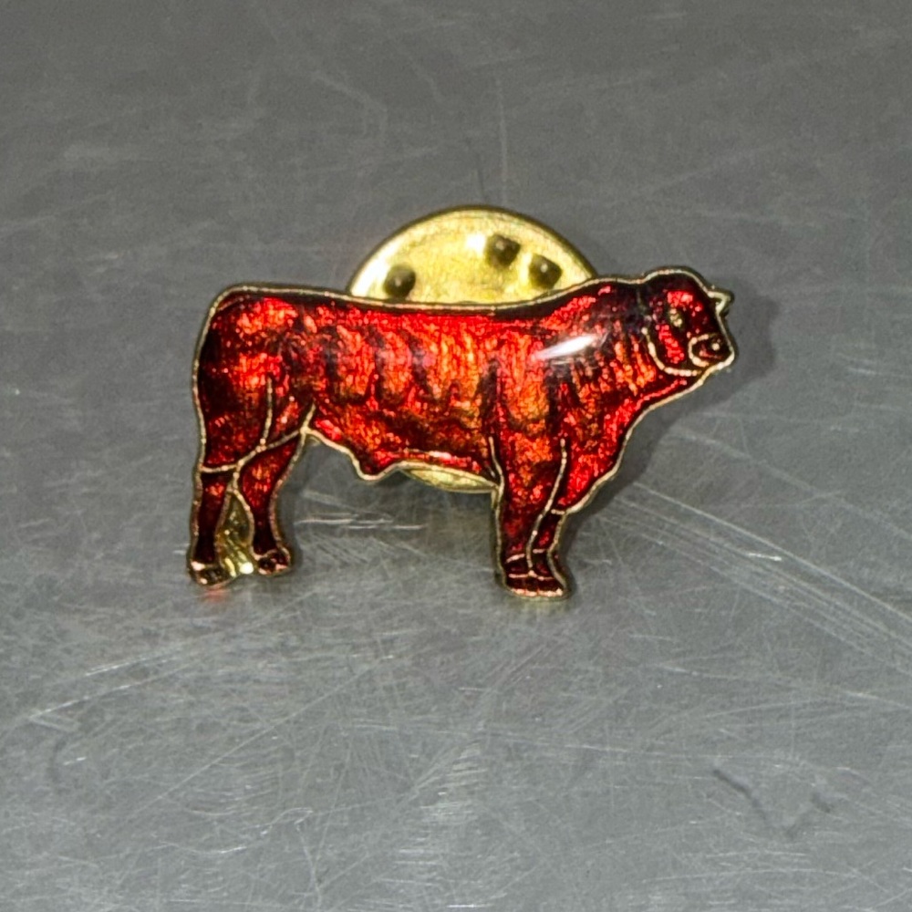 Red Bull Enamel Pin